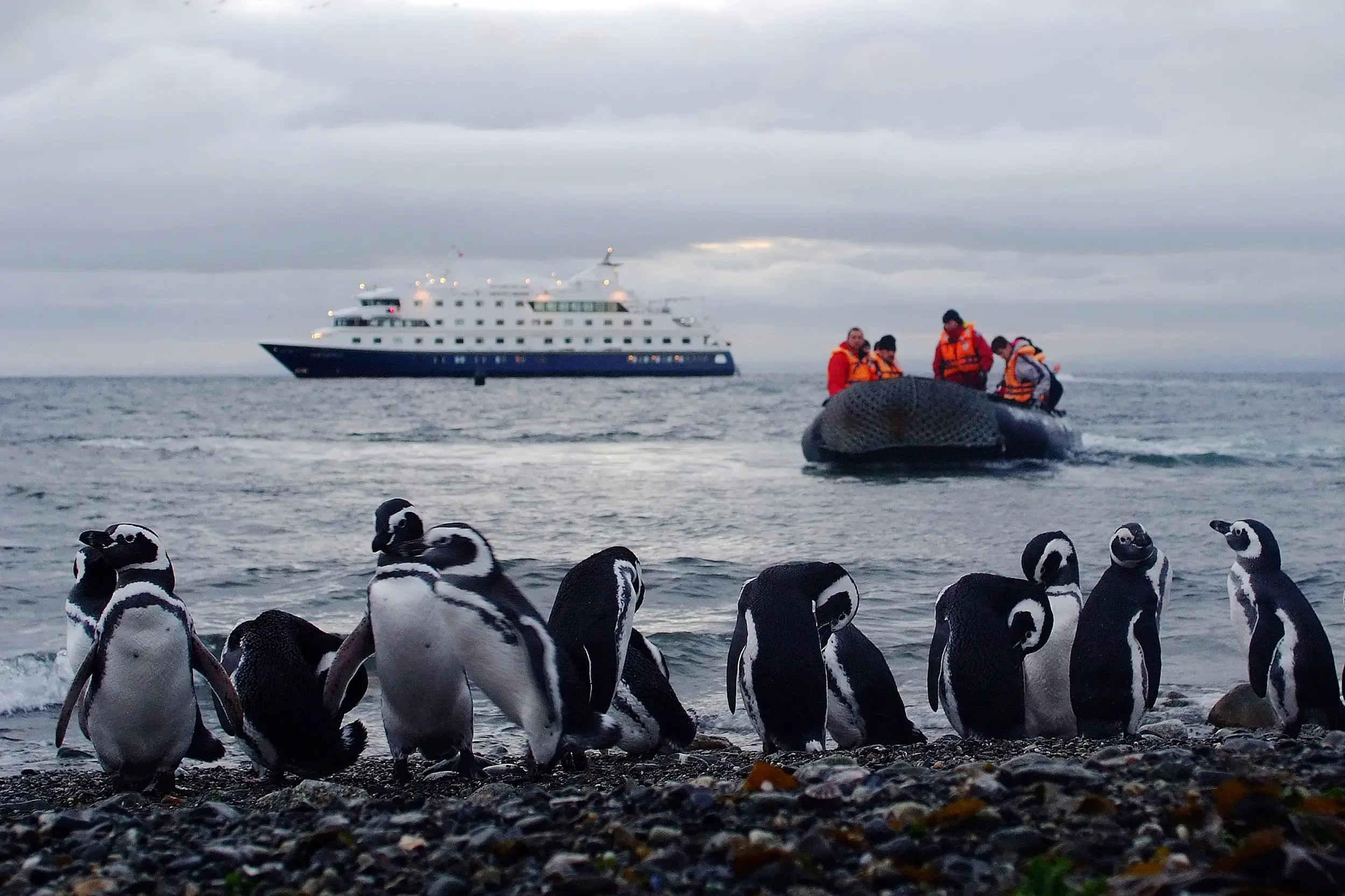 Australis Cruises - Stella and Ventus