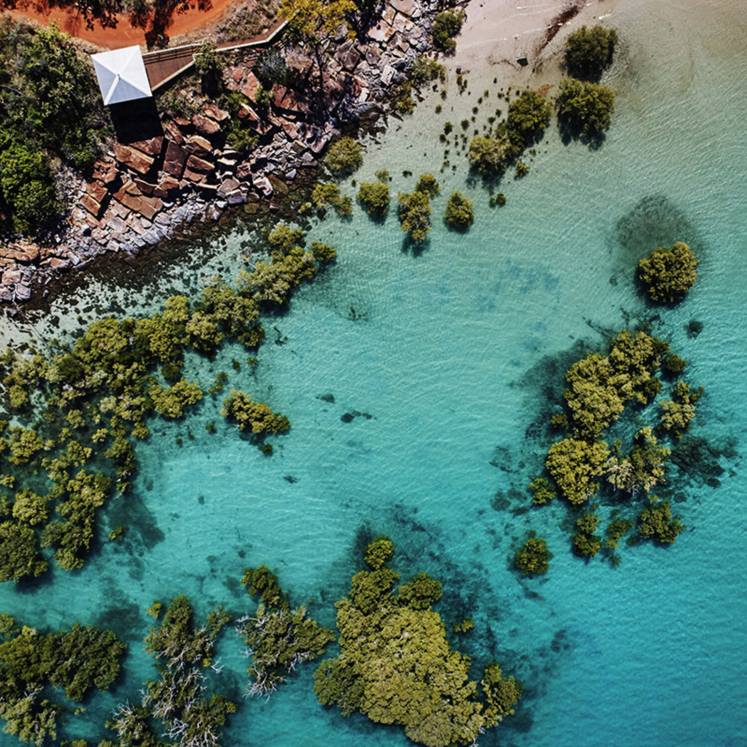 Eclipse Expeditions Kimberley Mangroves at the Cygnet Bay Pearl Farm