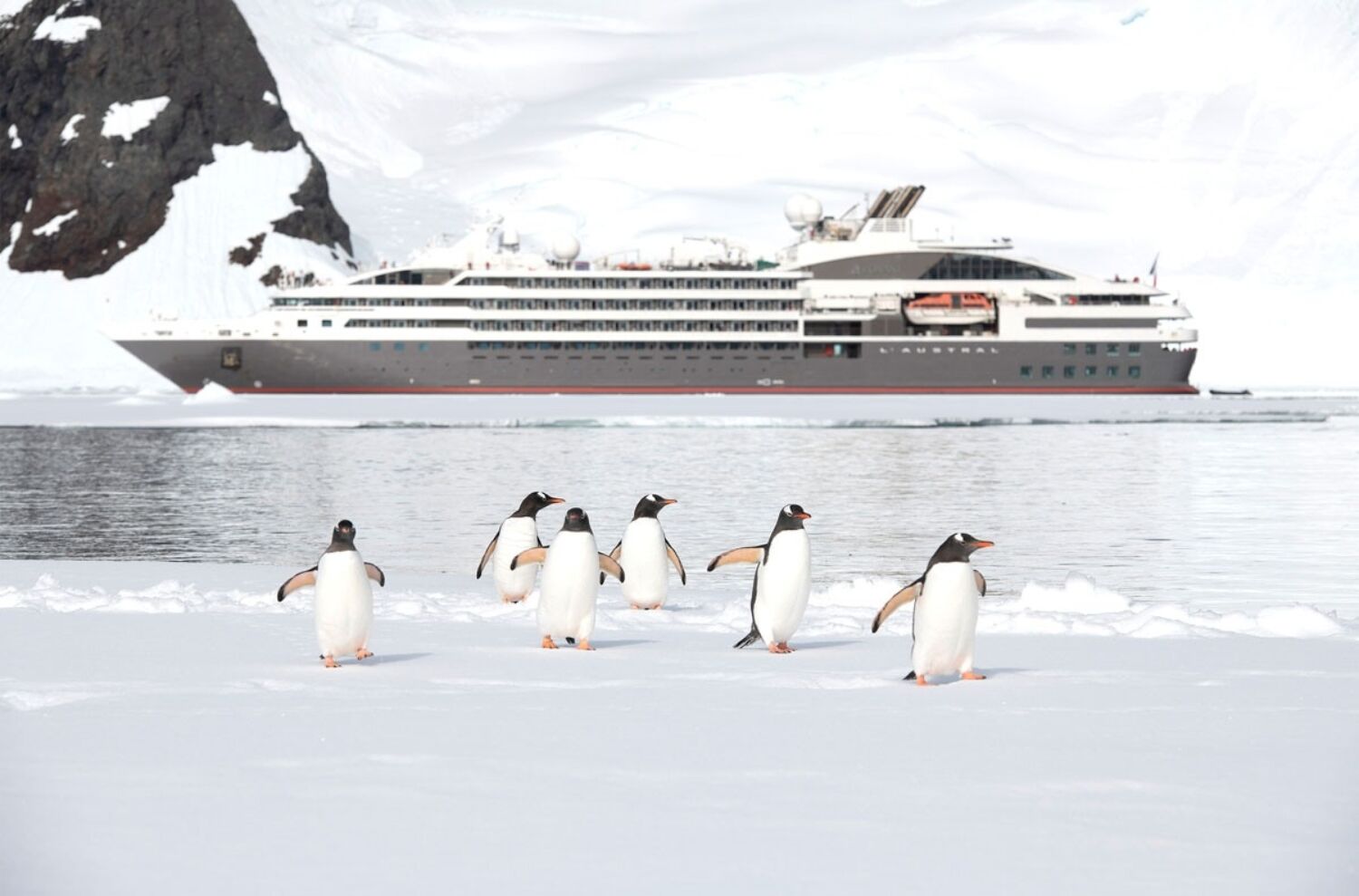 Ponant L'Austral Antarctica Sylavain Adenot