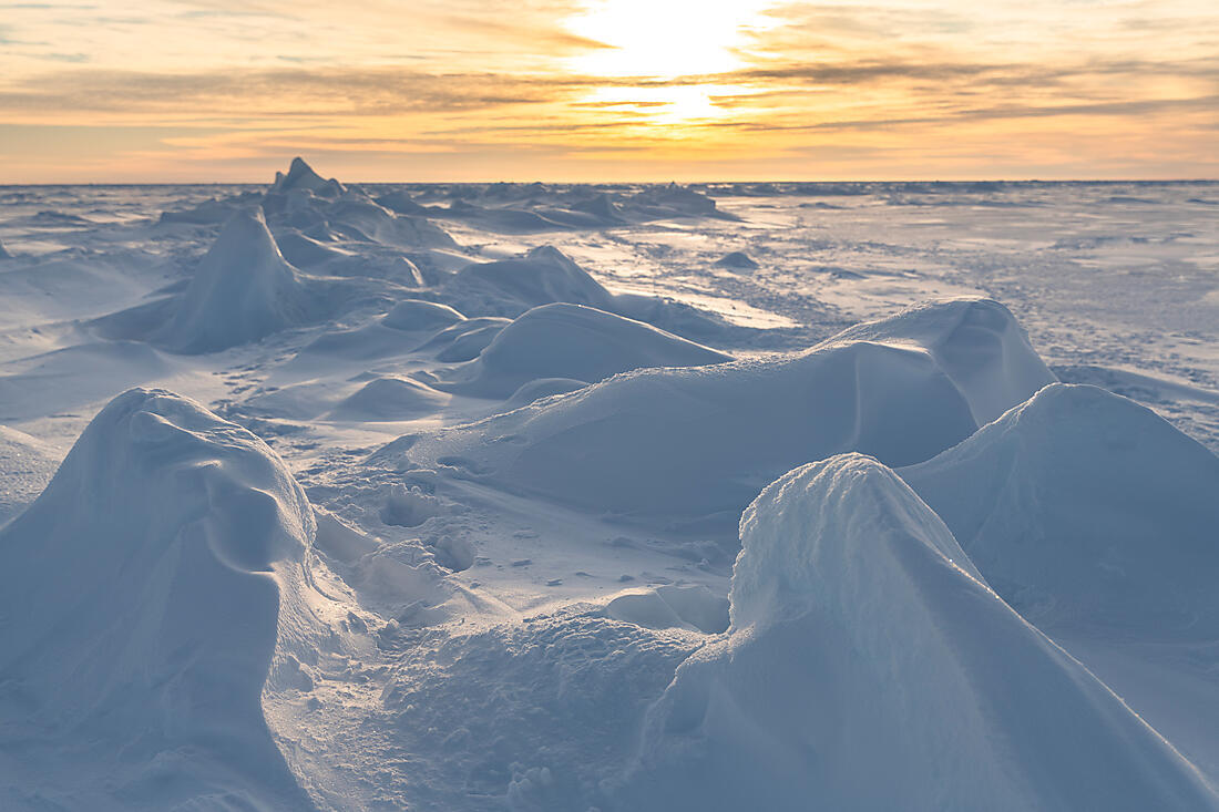 15 Night Ponant Geographic North Pole Cruise