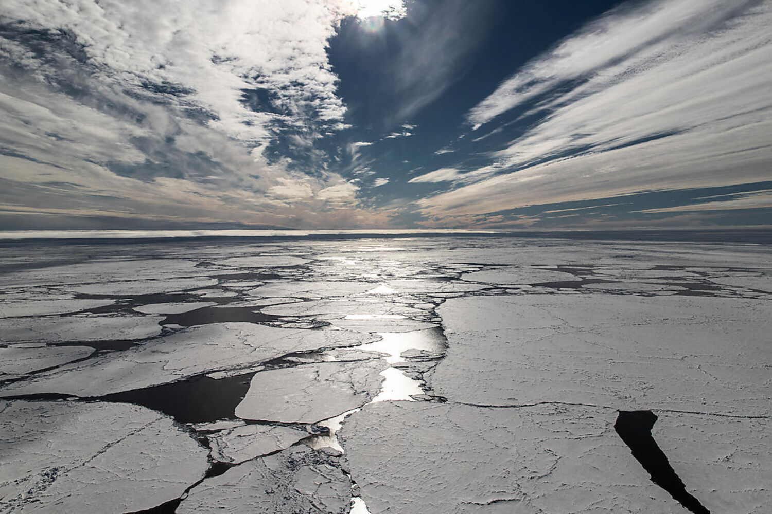 Arctic Ice Sheet Ponant Le Commandant Charcot