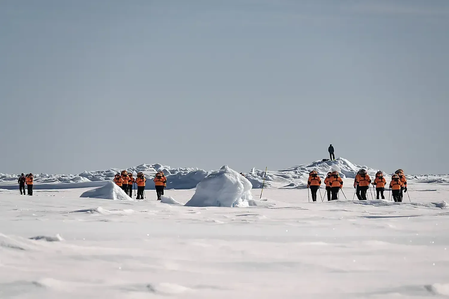 Arctic Guest Walking Ponant Le Commandant Charcot