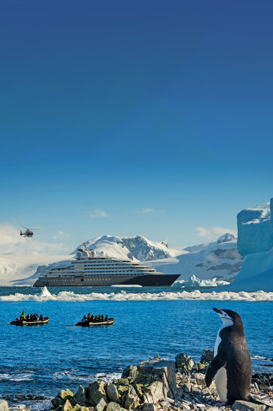 11 Night Scenic Eclipse Antarctica in Depth Cruise