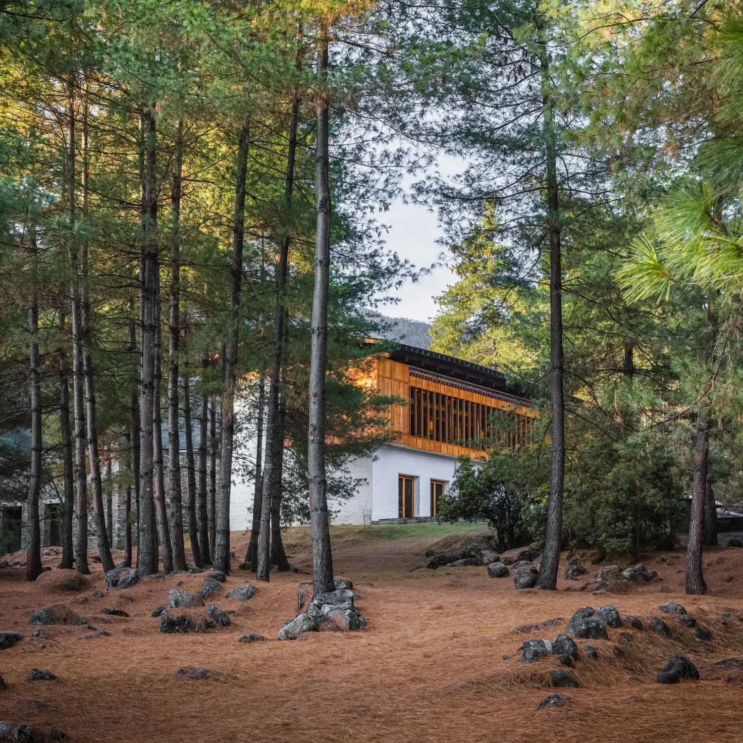 Amankora Bhutan Paro Lodge Exterior Pine forest 46833