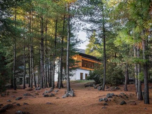 Amankora Bhutan Paro Lodge Exterior Pine forest 46833
