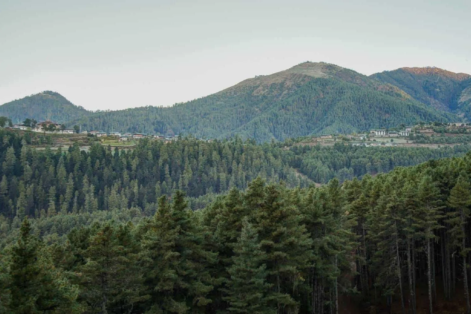 Longtey Lomey hike, one of Bhutan's best day hikes