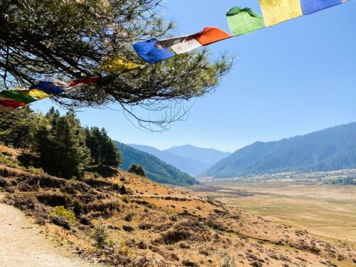 Gangtey Nature Trail Walk into Luxury