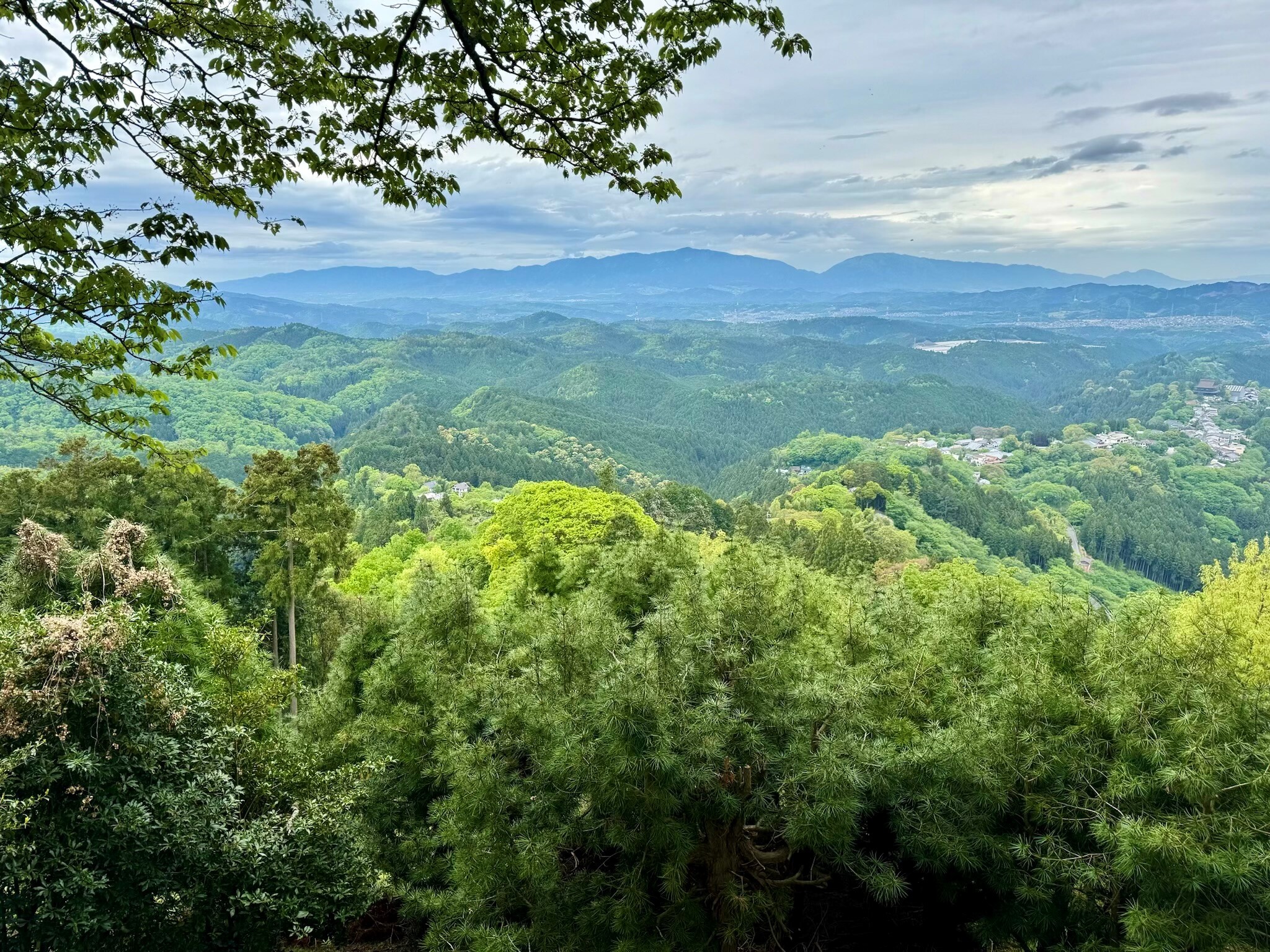 Mt Yoshino view