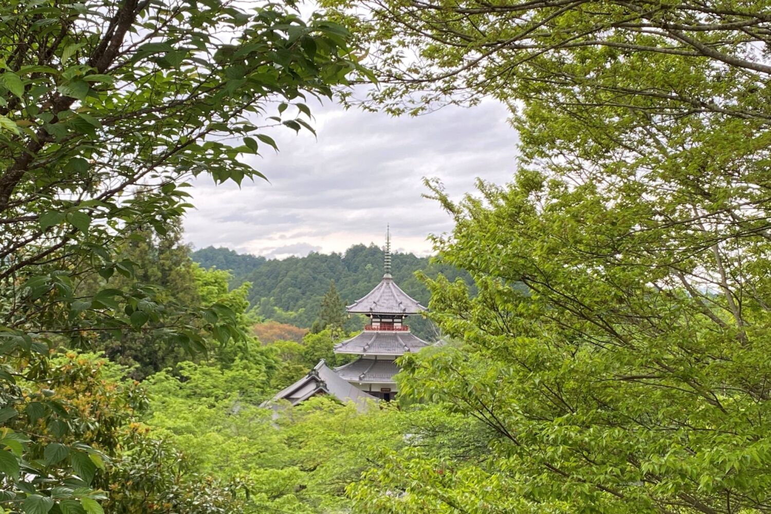 Yoshino temple NK Wi L