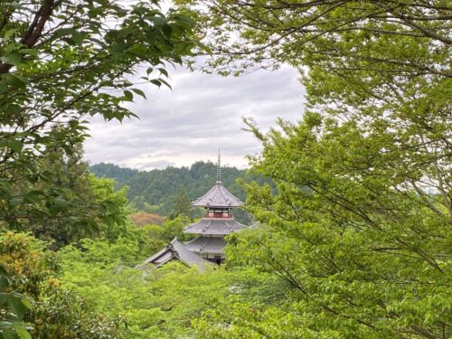 Yoshino temple NK Wi L