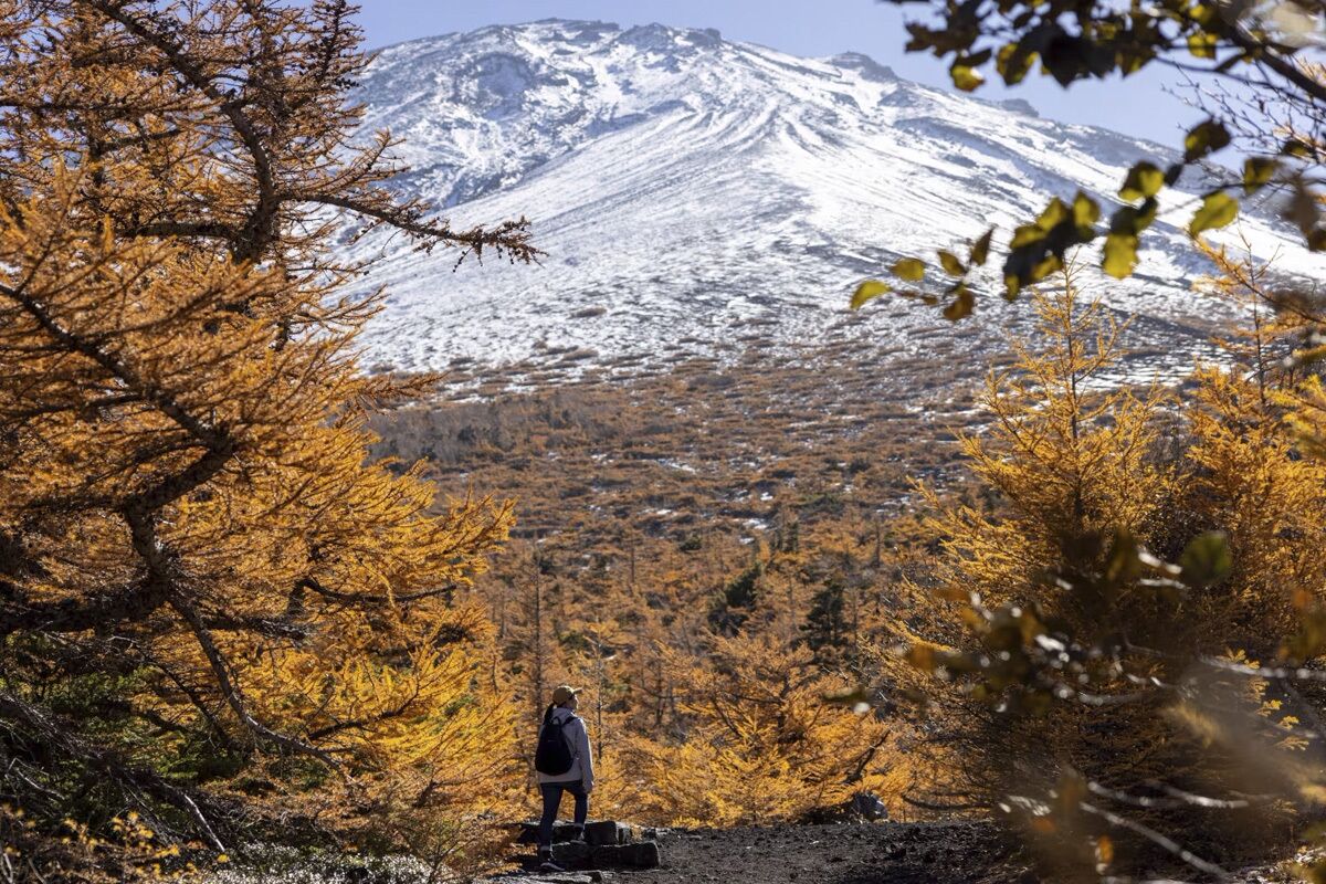 Hoshinoya Fuji Experience Autumn Foliage