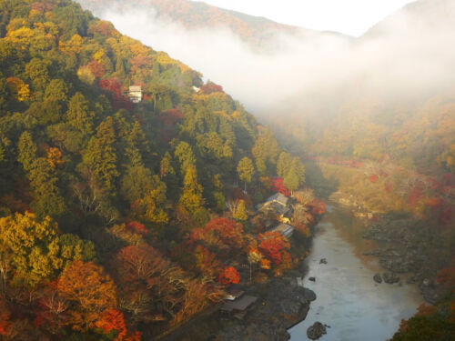 Hoshinoya Kyoto Aerial Autumn