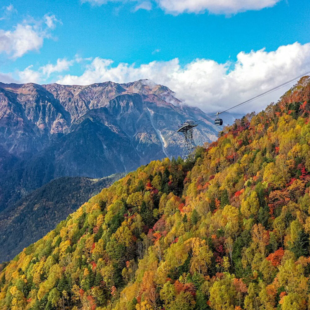 Shin Hotaka Ropeway Autumn