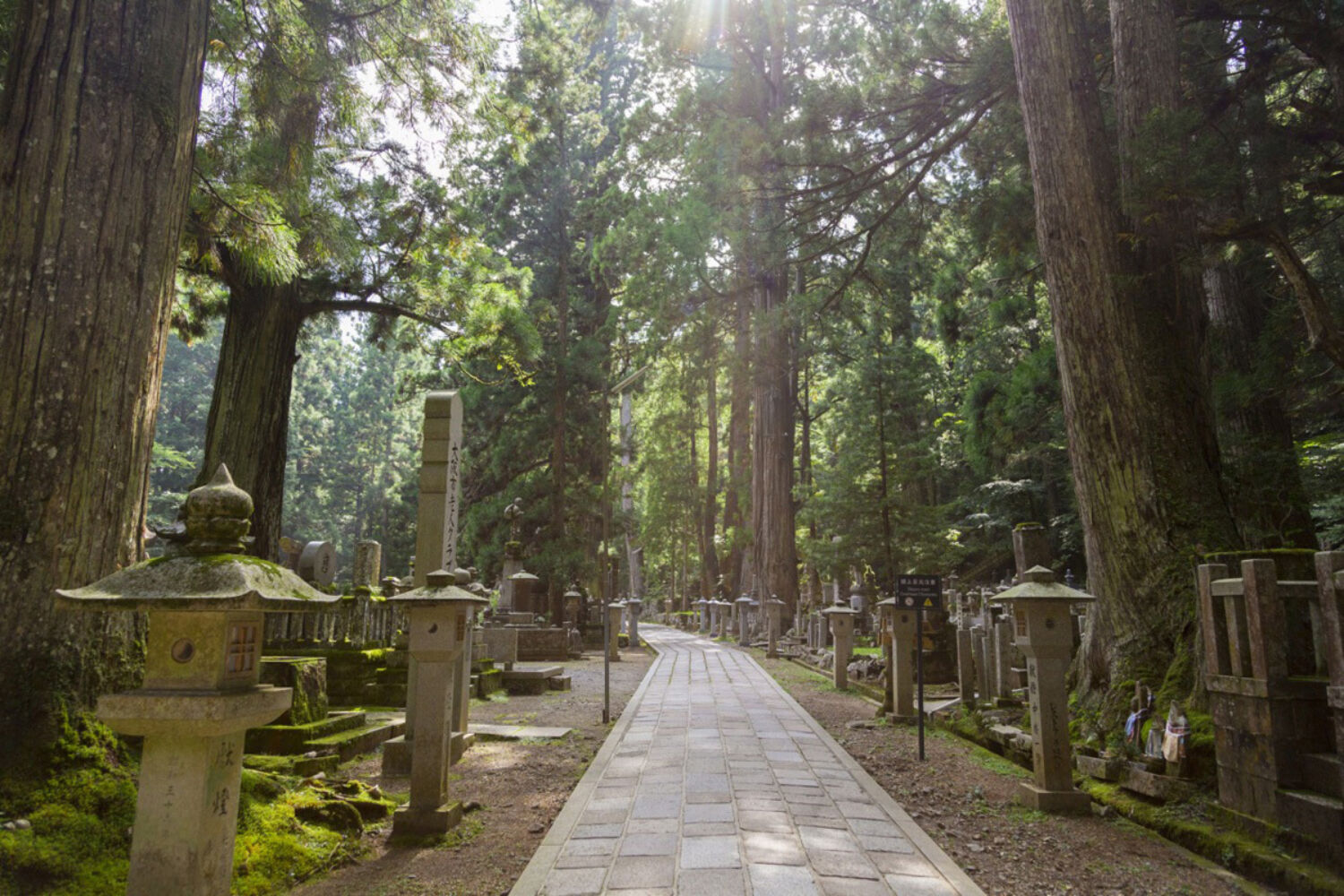 Koyasan Oku in Cemetery Visit Wakayama