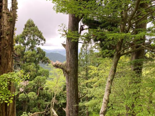 Koyasan daimongate view