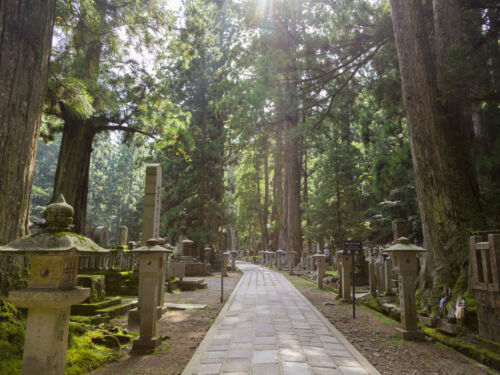 Koyasan Oku in Cemetery Visit Wakayama