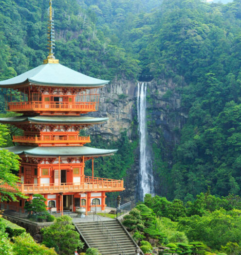 Nachi Waterfall and Temple Visit Wakayama