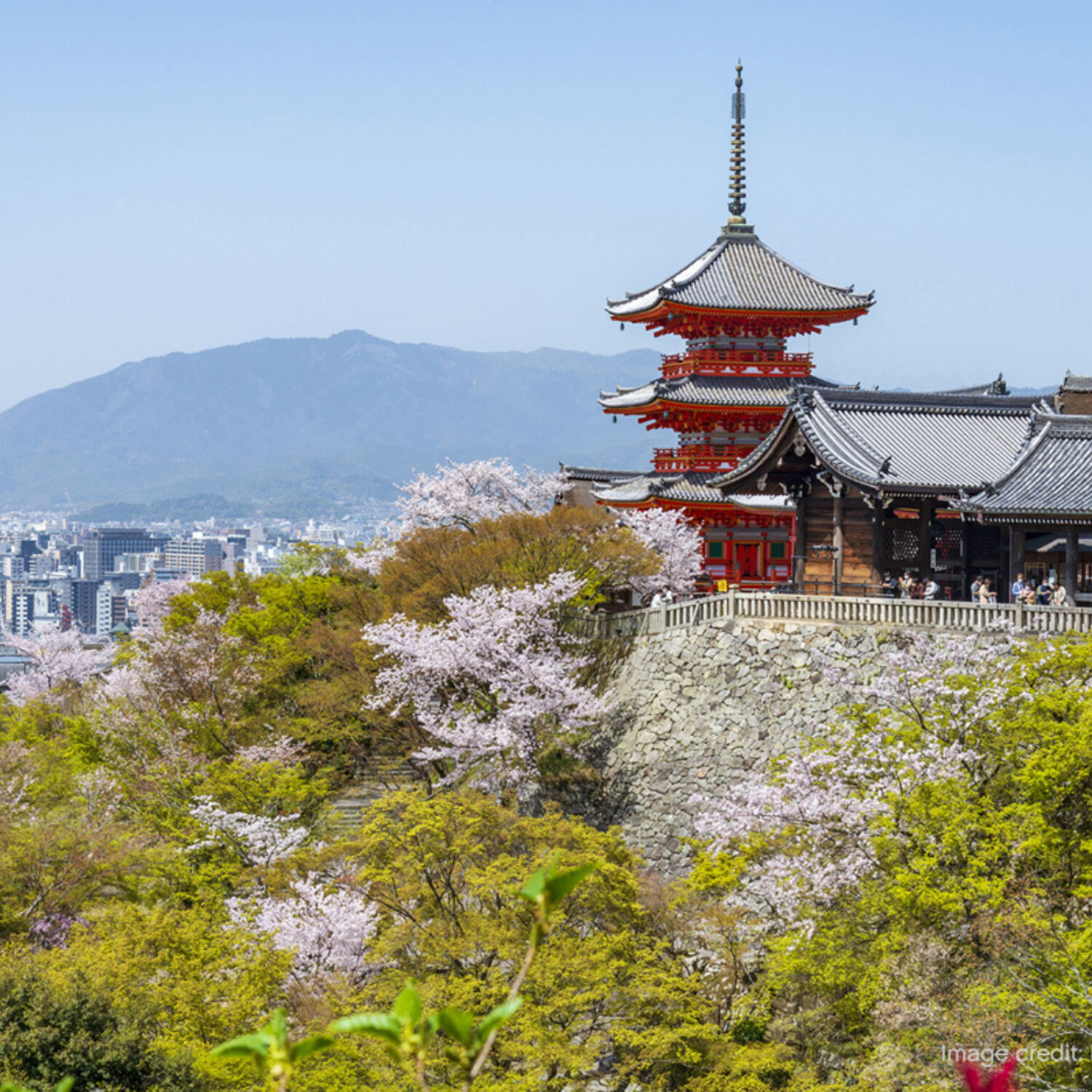 Kyoto City Kiyomizudera Temple Spring