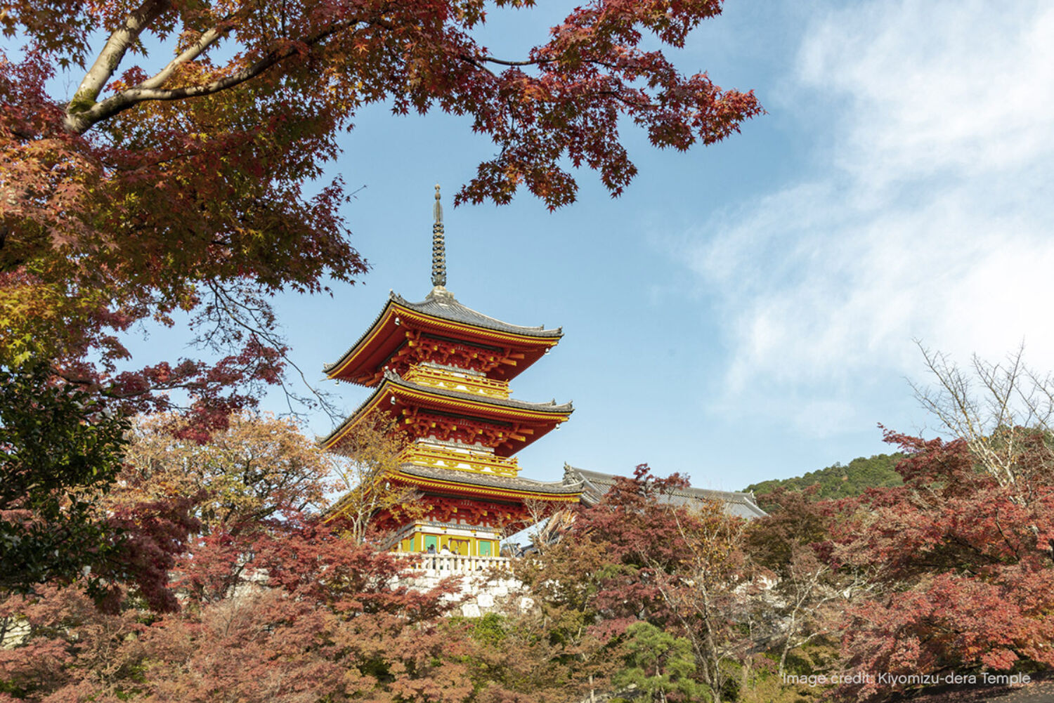 Kyoto City Kiyomizudera Temple Autumn