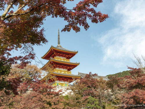 Kyoto City Kiyomizudera Temple Autumn