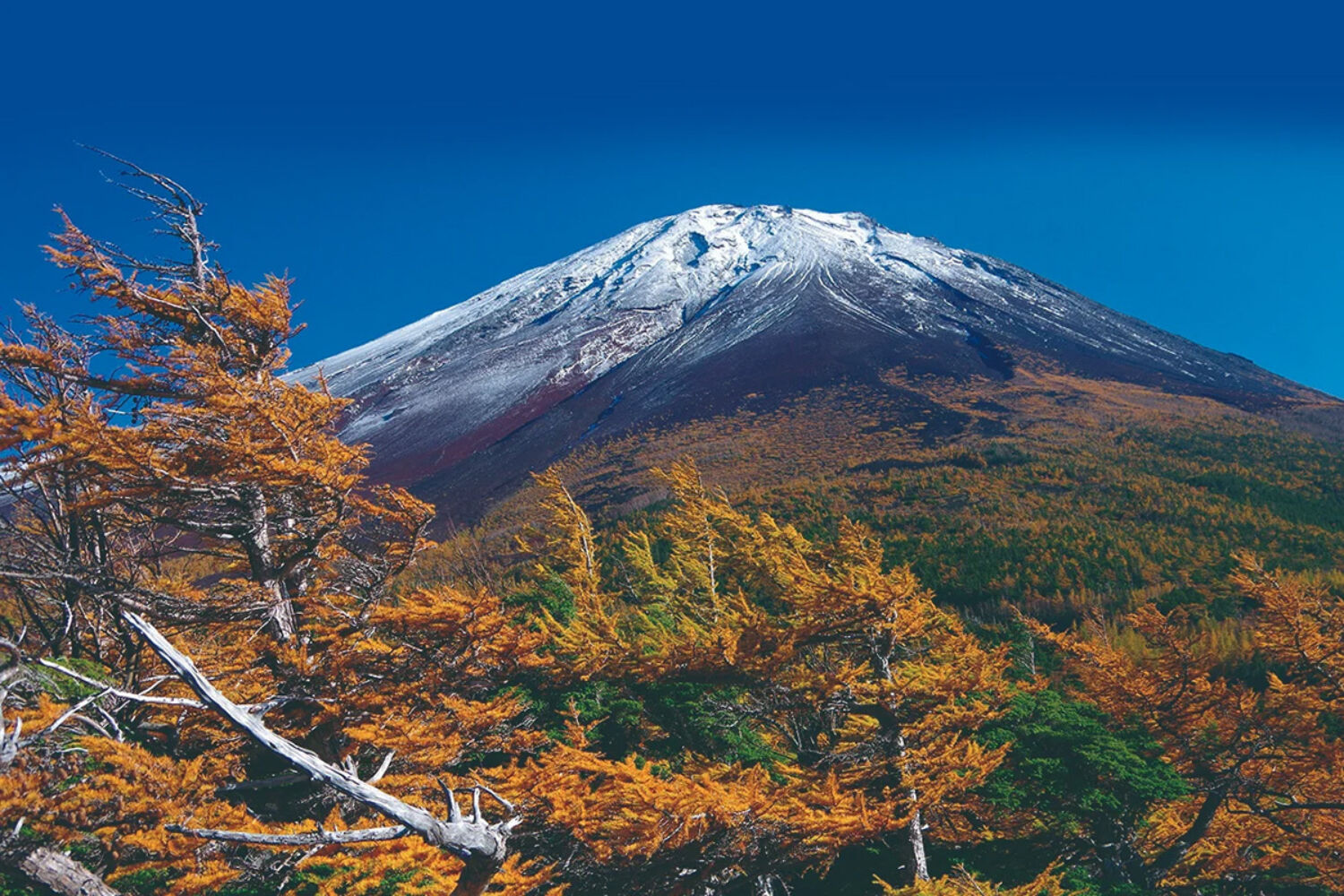 Mt Fuji Hakone Izu Ochudo Trail JNTO