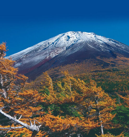 Mt Fuji Hakone Izu Ochudo Trail JNTO