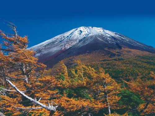 Mt Fuji Hakone Izu Ochudo Trail JNTO