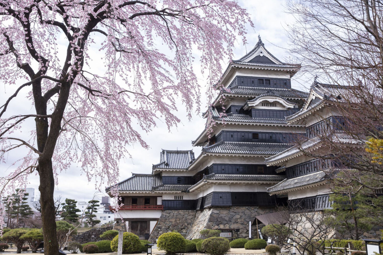 Matsumoto Castle JNTO 1