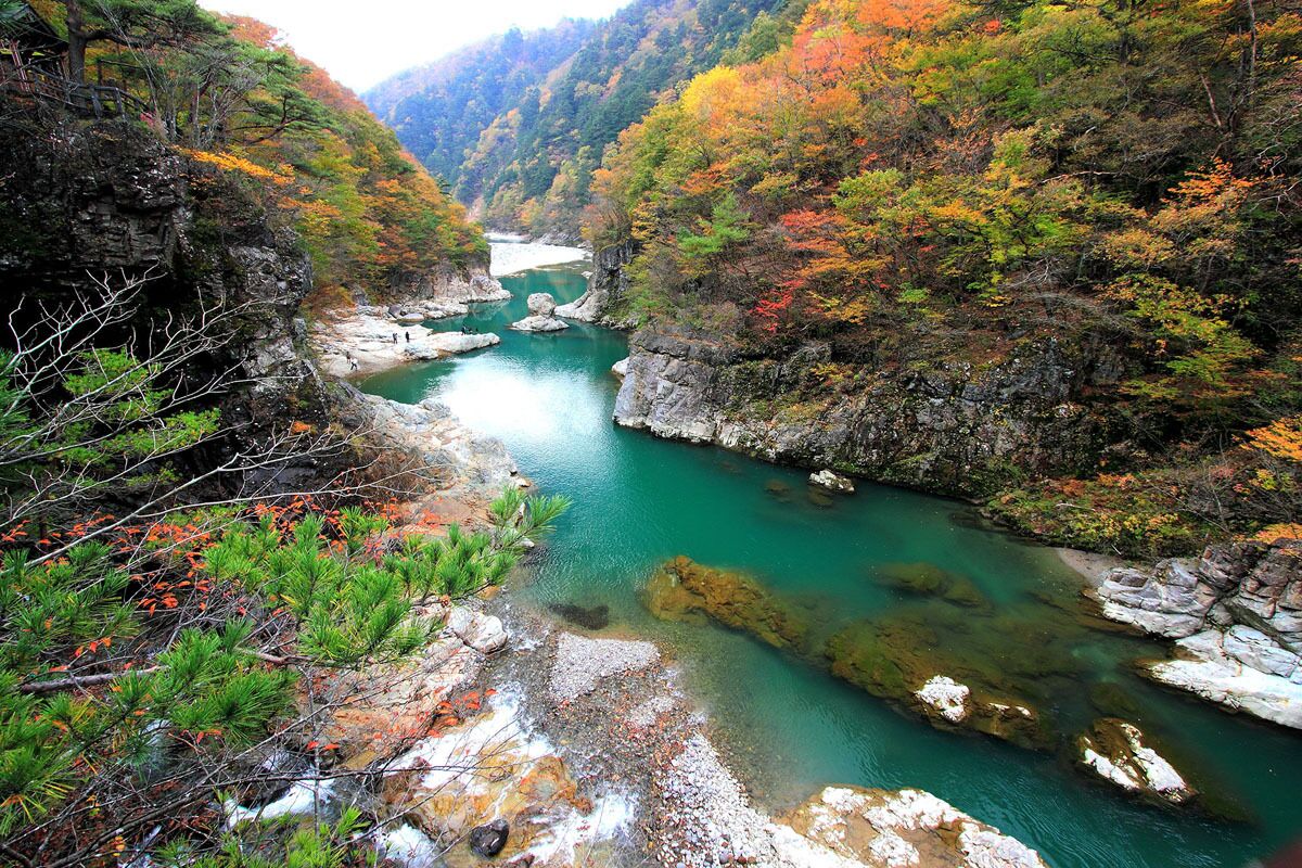 Nikko Ryuokyo Valley Autumn