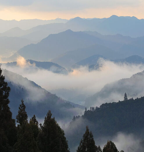 Kumano Kodo Fushiogami oji View Kumano Travel