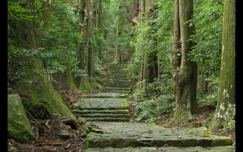 Kumano Kodo Trail JNTO