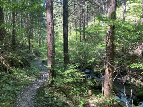 Nakasendo Road Nagiso to Nojiri NK 2