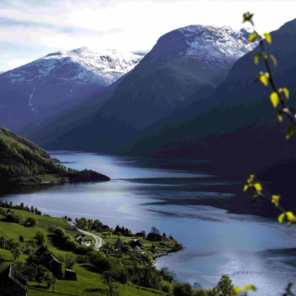 Landscape fjords