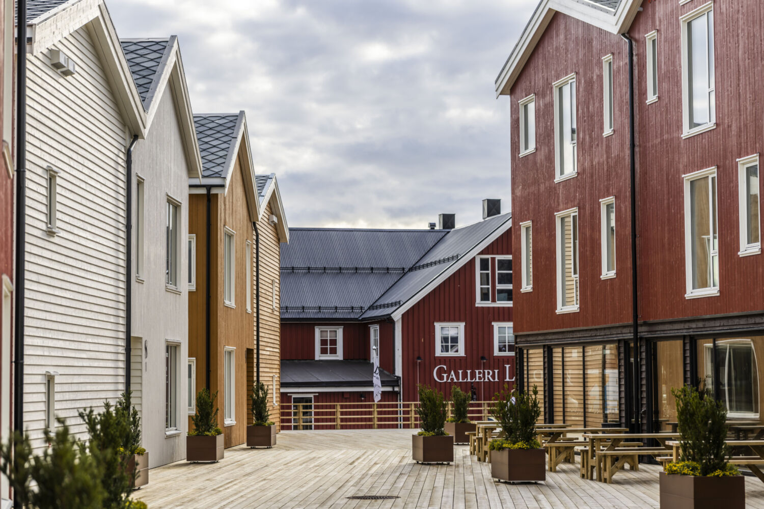 CNH Henningsvær RAISFOTO C1 3179