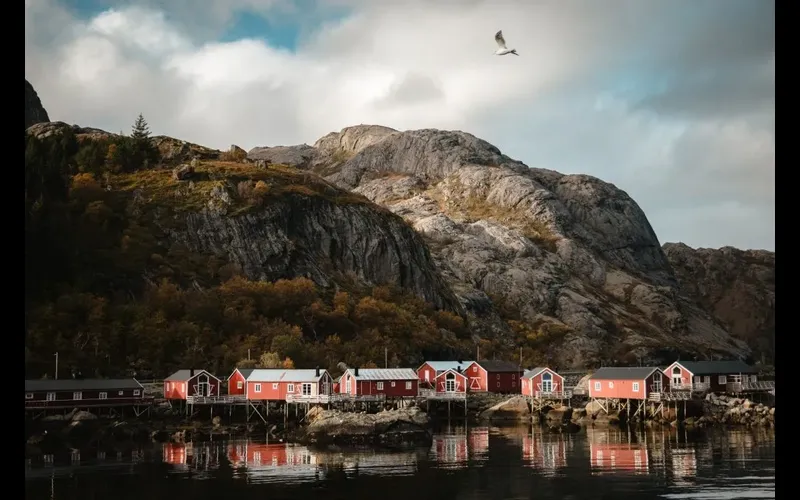 Nusfjord Arctic Resort Afficiandos