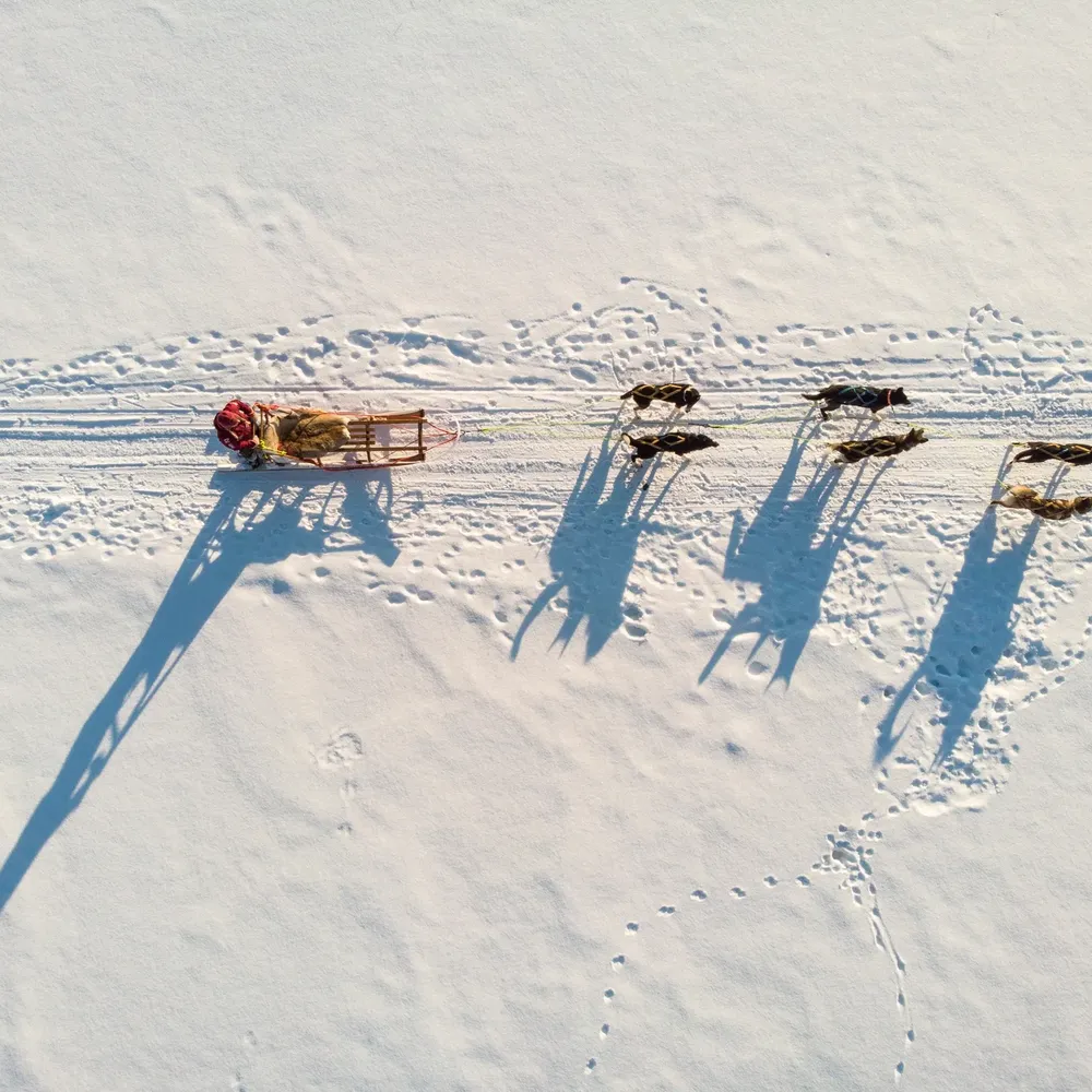 Dog sledding in Alta Ismaele Tortella Visit Norway
