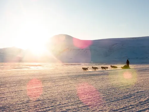 Dog sledding in Adventdalen horizontal Håkon Daae Brensholm Visit Svalbard