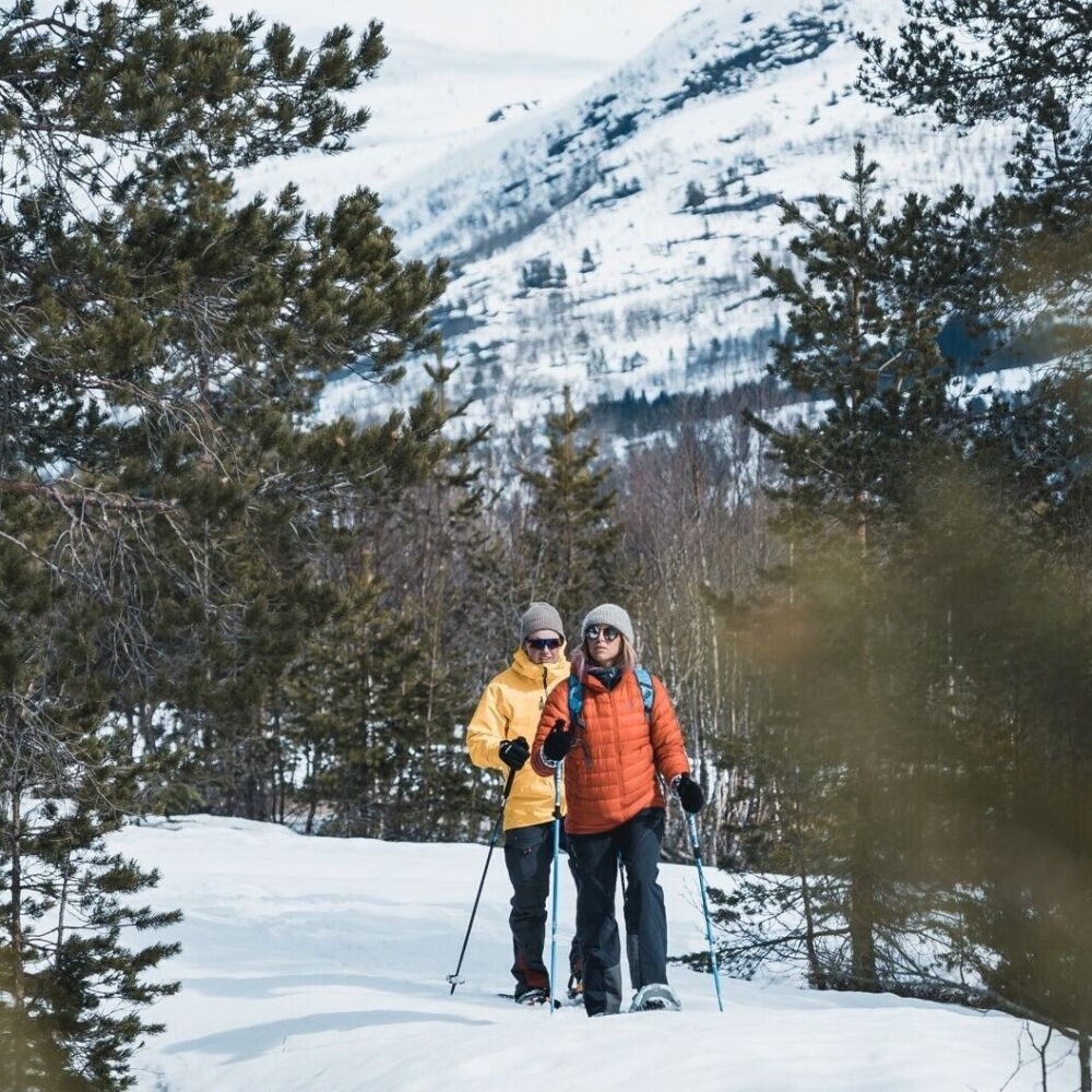 Snowshoe fjords