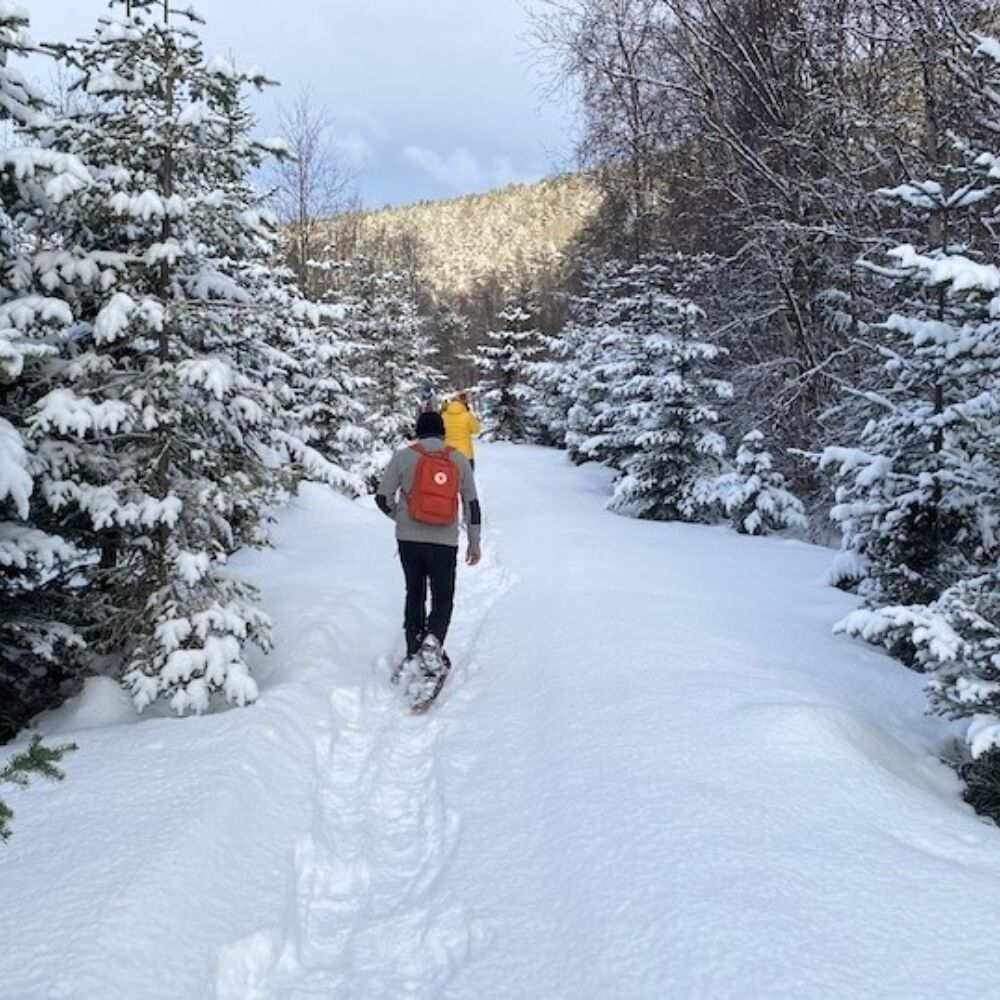 Snowshoe hike 4