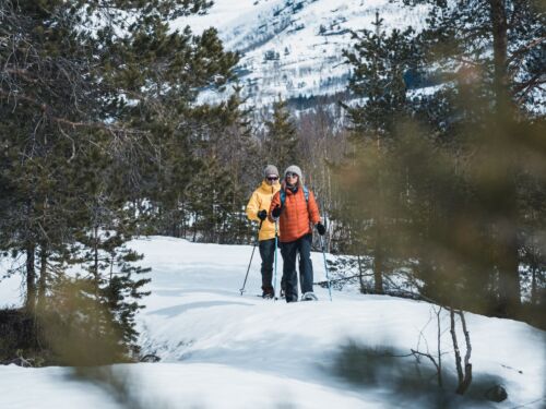 Snowshoe fjords_frostatind