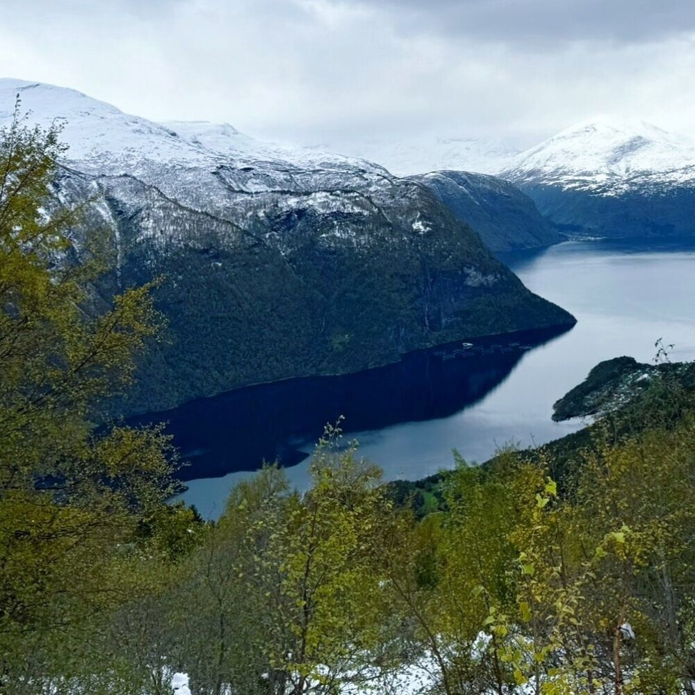 Sunmore Alps Juvet Wi L 2