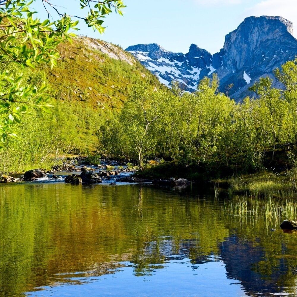 Finnkornakken 2