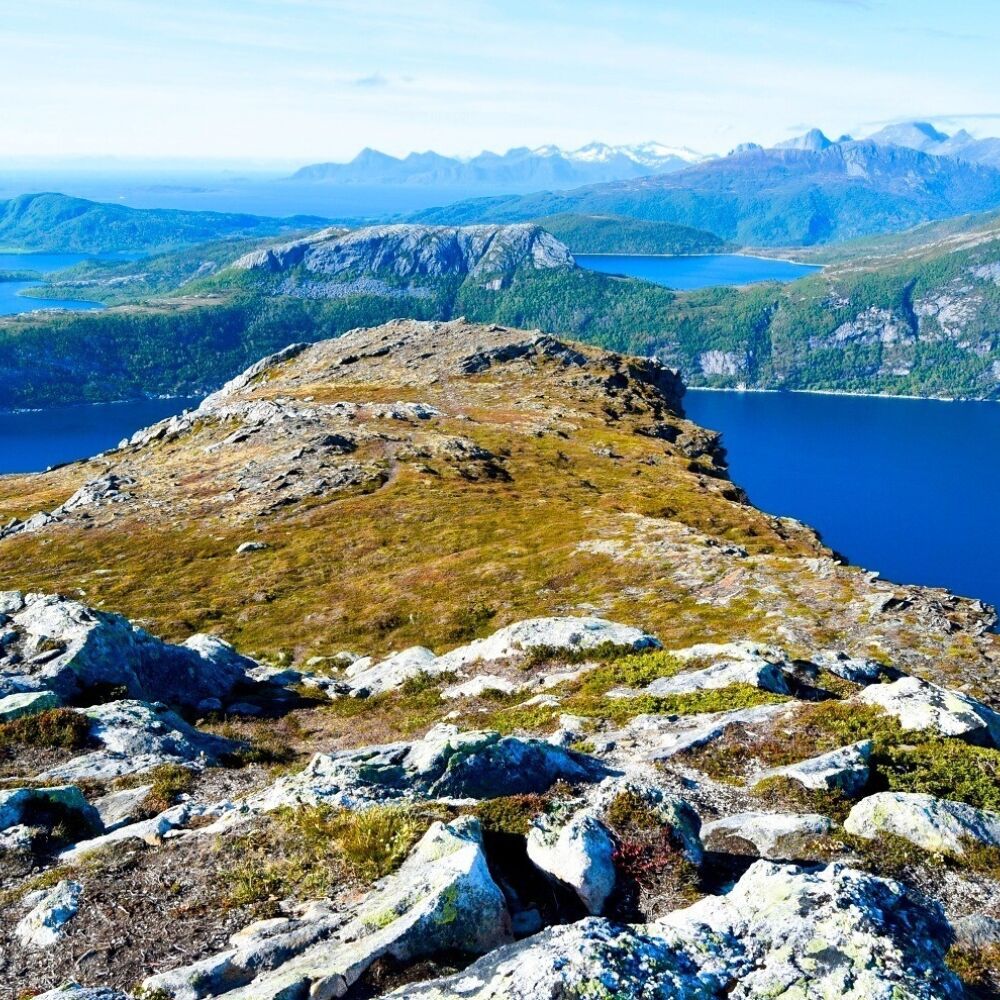 Finnkornakken