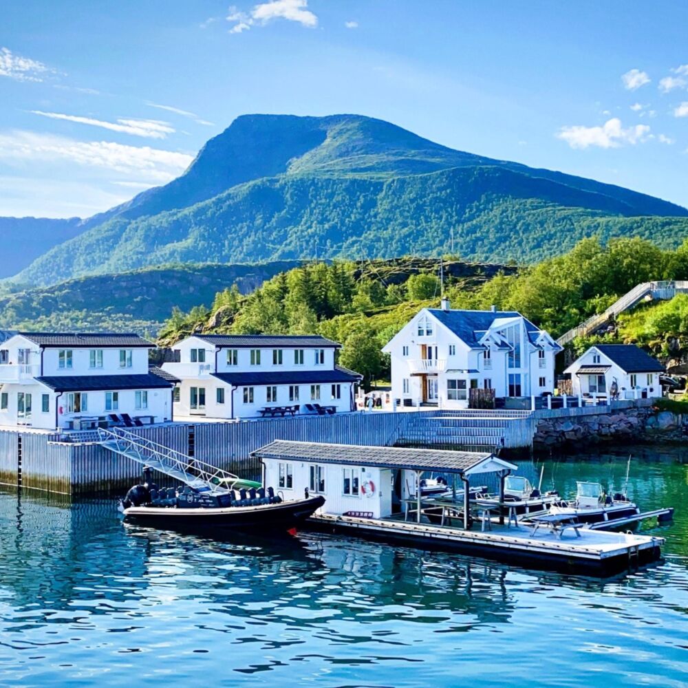 Nordskot rib steigen