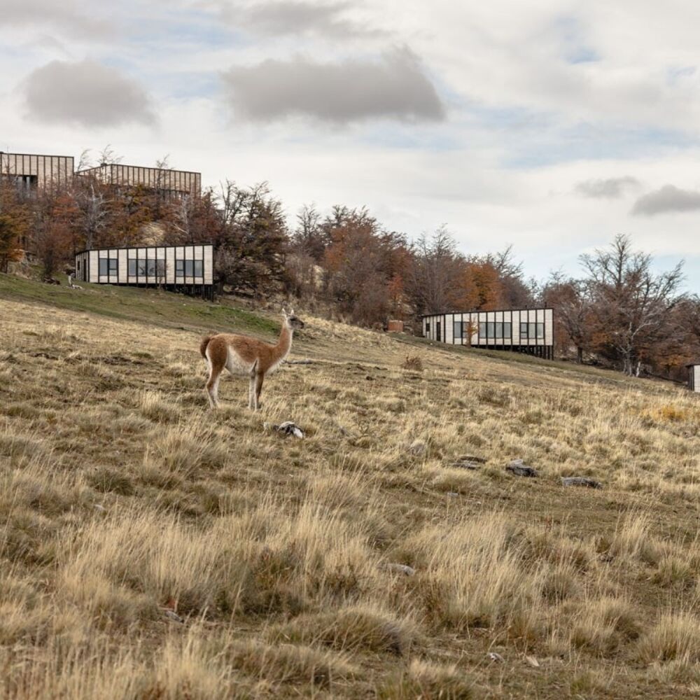 Awasi Patagonia, Chile | Luxury Lodge, Torres del Paine National Park ...