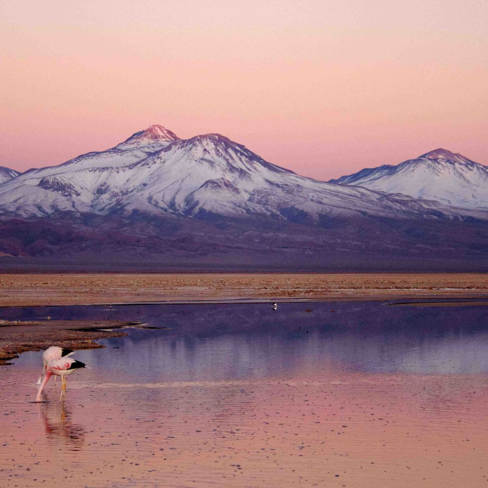 Salt Flats Atacama Desert_Tierra