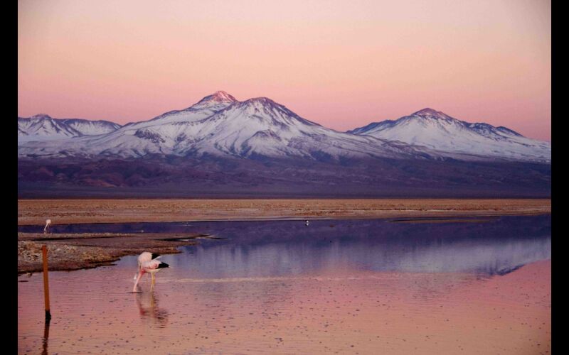 Salt Flats Atacama Desert_Tierra