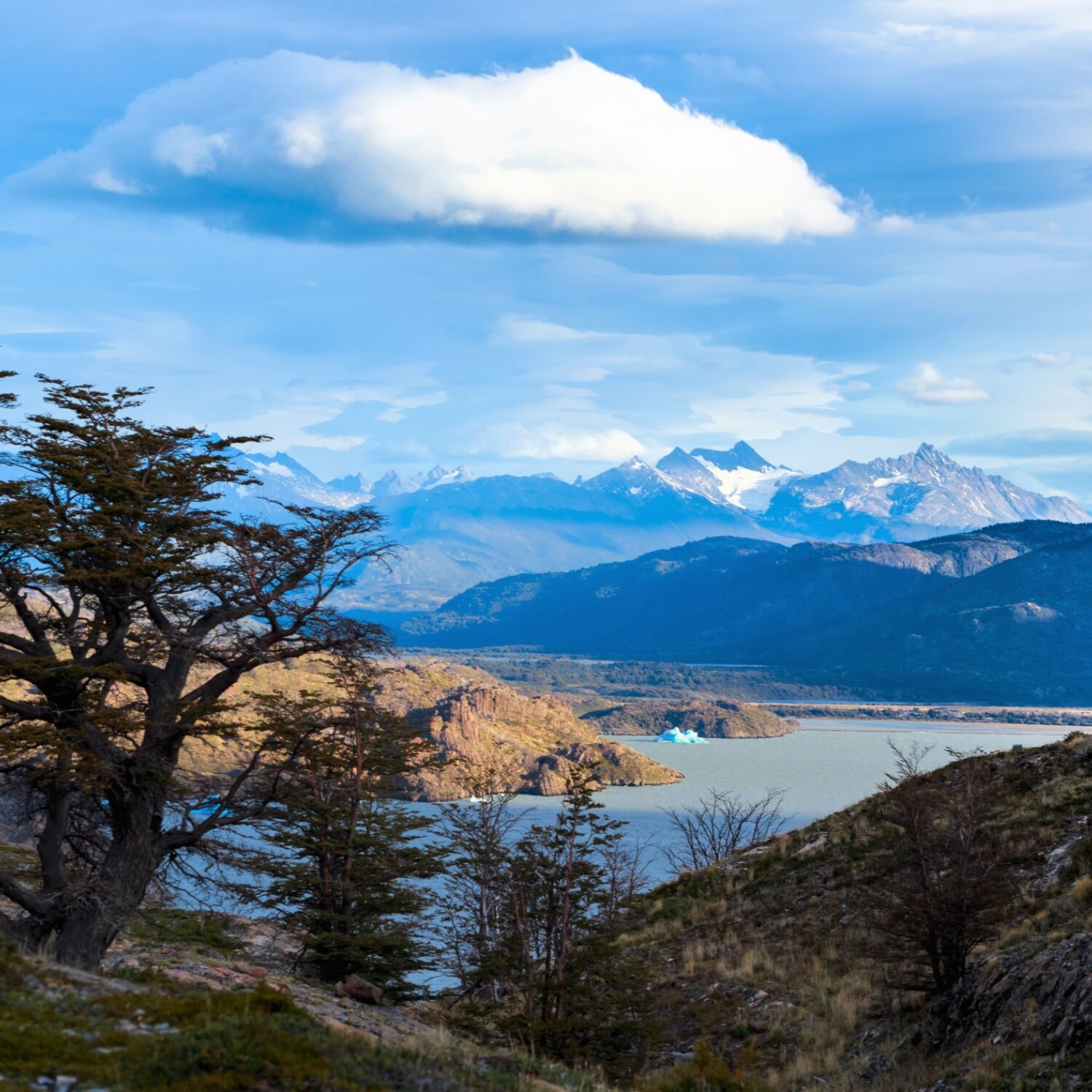 Grey Glacier hike