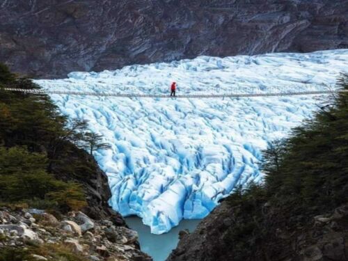 Grey Glacier Bridges Hike W Trek Tierra