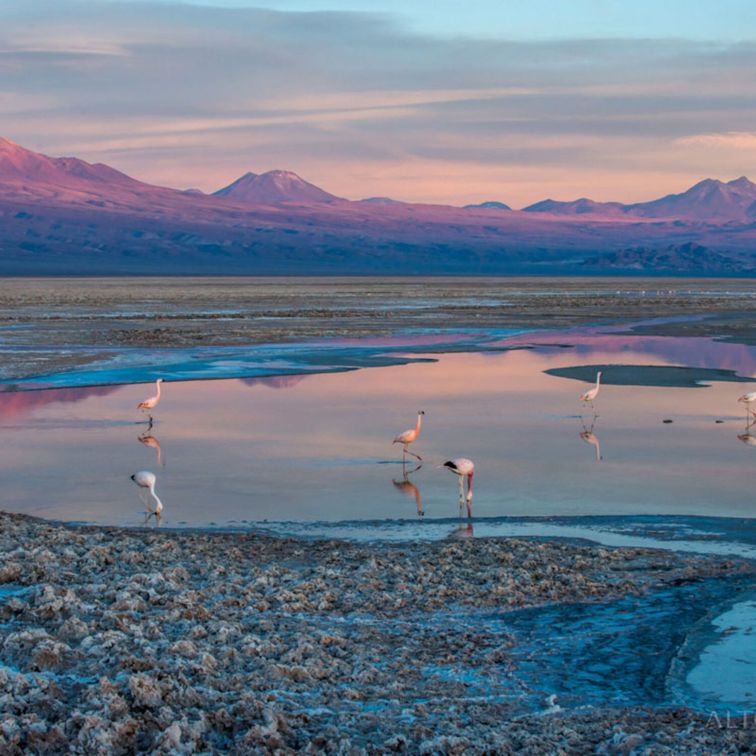 Nayara Alto Atacama Salt Flat